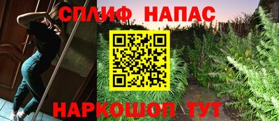 a pvp Аргун